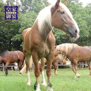 味全埔心牧場相關圖片